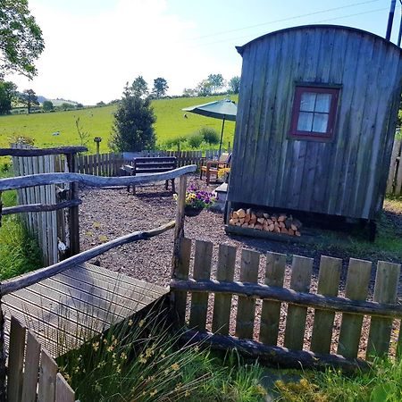 Eco Accommodation Cornflower Holiday Крейвън Армс Екстериор снимка